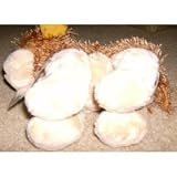Webkinz Plush Stuffed Animal 2nd Generation No Magic 'W' Cocker Spaniel