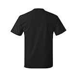 Hanes Men's Tagless T-Shirt (Black) (Small)
