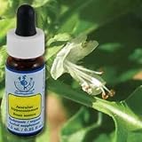 Basil Essence 7.40 Milliliters
