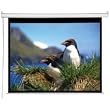 8FT Diagonal Accuscreens Ntsc Electric Wall Ceiling 60X80IN