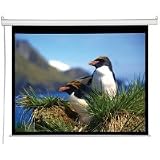 8FT Diagonal Accuscreens Ntsc Electric Wall Ceiling 60X80IN