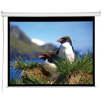 Best value Price 8FT Diagonal Accuscreens Ntsc Electric Wall Ceiling 60X80IN