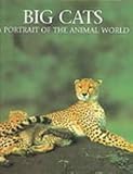 Cover for 9781597641111
