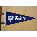 Kentucky Wildcats College Vault Pennant