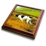 Dogs The Pointer - The Pointer Dog - Trivets