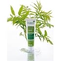 Argiletz - Argile verte en tube - tube 400 g - L'argile verte prête à l'emploi