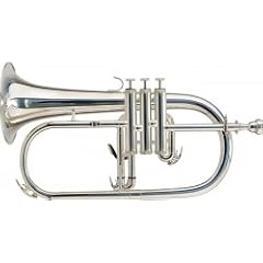 Steinbach Bb-Fl�gelhorn silber Optik inkl. Softetui