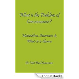 What is the Problem of Consciousness?: Materialism, Awareness & What-it-is-likeness
