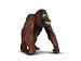 Schleich Female Orangutan Figure