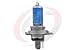 (1) 83 Suzuki GR 650 Tempter Headlight Bulb Halogen HID
