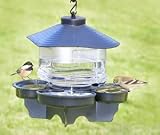 First Nature Bird Bath
