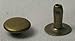 Tandy Leather Rapid Rivets Medium Antique Brass Plate 100/pk 1273-15