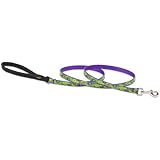LupinePet Big Easy Dog Lead, 6-Feet