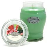 Salt City Watermelon 26oz Jar Candle