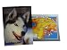 Kondos Outdoors - Dog Mushing Alaska Calendar 2012
