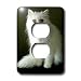 Cats - White Persian - Light Switch Covers - 2 plug outlet cover