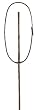 RODRIGO PESSOA Raised Fancy Standing Martingale