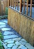 Bamboo Flexible Fencing 3x6 foot