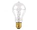 Edison Light Bulb 30 Watt