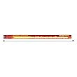 Aqueon Coralife 05628 10000K T-5 Fluorescent Lamp, 36-Inch