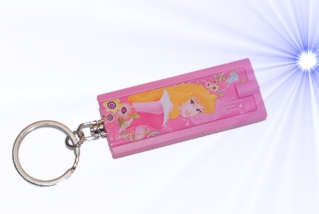 Schlüsselanhänger Disney Prinzessin