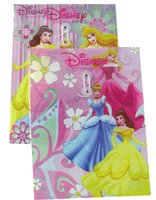 Disney Princess Portfolio Pocket Folders (2 units)
