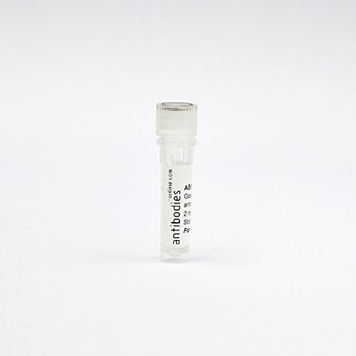 anti-CD93 Molecule (CD93) antibody