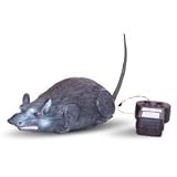 Rat Télécommandé
