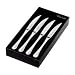 Rwii Bright 4 Pce Steak Knife Set