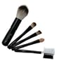 Shany� 5pc mini Cosmetic Brush Set - Blush,Precision Concealer,Eye, Lip, Eyebrow