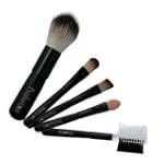 Shany© 5pc mini Cosmetic Brush Set - Blush,Precision Concealer,Eye, Lip, Eyebrow