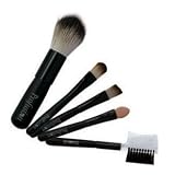 Shany© 5pc mini Cosmetic Brush Set - Blush,Precision Concealer,Eye, Lip, Eyebrow