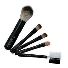 Shany� 5pc mini Cosmetic Brush Set - Blush,Precision Concealer,Eye, Lip, Eyebrow