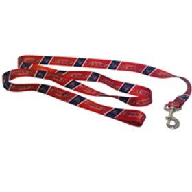 Houston Texans NFL Dog Leash
