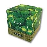ブロッコリーを育てる栽培キット！Plante Culture（プラント　キュルチュア）　ブロッコリー栽培セット