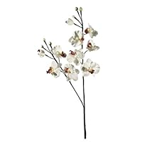 Floral Lights Lighted White Orchid Flower with 16 bulbs, 32 inches