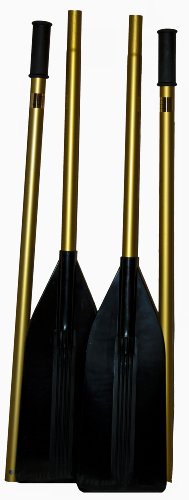 Boat Oars with Oar Locks (1 Pair)