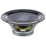 Celestion Truvox 1020 10 Inch 150 Watt Raw Frame Speaker