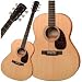 L03 Acoustic Guitar