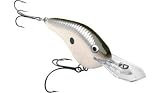 Fishing: Rapala DT Flat SureSet Crankbait