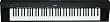 Yamaha NP30 Portable Grand Piano