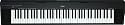 Yamaha NP30 Portable Grand Piano