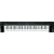 Yamaha NP30 Portable Grand Piano