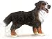 Schleich Bernese Mt. Dog (Standing)