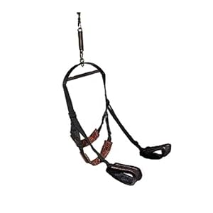 Wild S.E.X. Collection Spinning Sex Swing