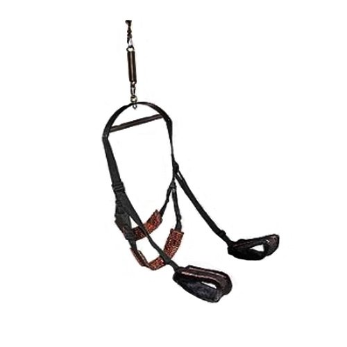 Wild S.E.X. Collection - Spinning Sex Swing
