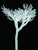 Giant 8 Foot Commercial Acrylic LED Christmas Tree - 1,900 White LED Lights