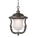 Cambridge Outdoor Hanging Pendant with Bronze finish