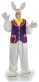 White Rabbit outfit White Rabbit outfit