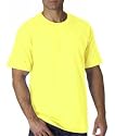 Hanes Authentic Premium Tagless T-Shirt